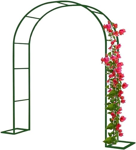 Arche de jardin en métal robuste résistante aux intempéries
