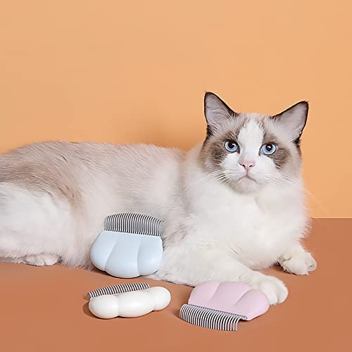Taiyo Pluss Discovery® Shell Type Pet Comb for Grooming and Deshedding, Suitable for dogs, cats and other small animals (Size : 9 cm X 8 cm) (Colour May Vary)