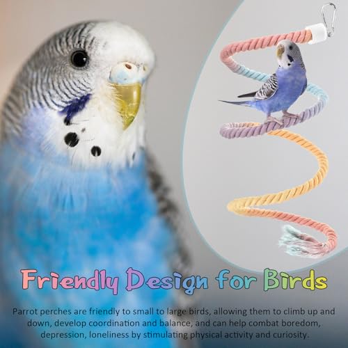 Image of WinnerWhy 2 Pcs Gradient Bird Rope Perches Birdcage Swing Toy for Parrots Birdcage Cotton Swing Climbing Rope Standing Bungee Toy Accessory for Parrots, Cockatiel, Parakeet, Lovebird, Budgie (59'')