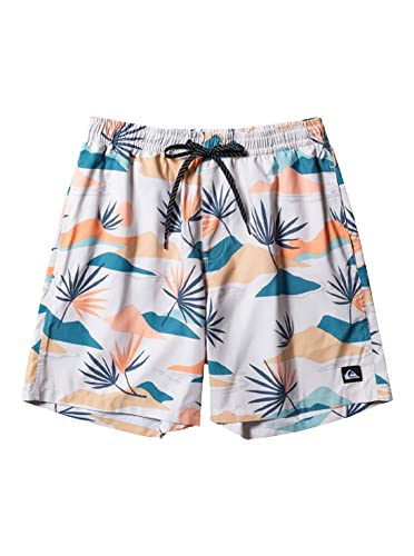 Quiksilver Men's Standard Everyday Mix Volley 17 Boardshort Swim Trunk