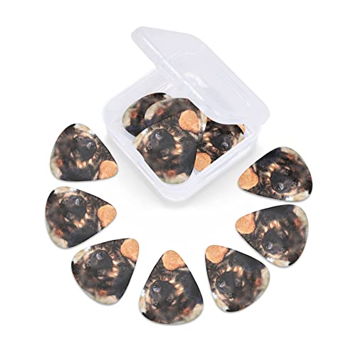 Médiators en celluloïd coloré en forme de chien – 3 épaisseurs différentes – Pour les amateurs de musique – Pour guitare électrique et acoustique – 0,46 mm, 0,71 mm, 0,96 mm - Les Beatles, Paul McCartney, John Lennon, RIngo Starr, George Harrison Médiators en celluloïd coloré en forme de chien - 3 épaisseurs différentes - Pour les amateurs de musique - Pour guitare électrique et acoustique - 0,46 mm, 0,71 mm, 0,96 mm – Image 7