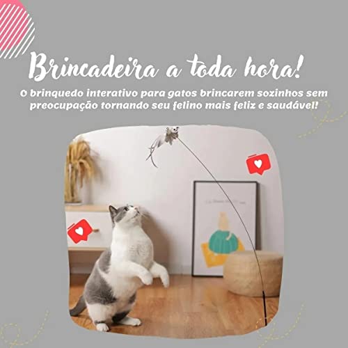 Brinquedo Interativo para Gato Varinha Com Ventosa Fixar Chão Vidro Porta com Bichinho e Guizo (Pass