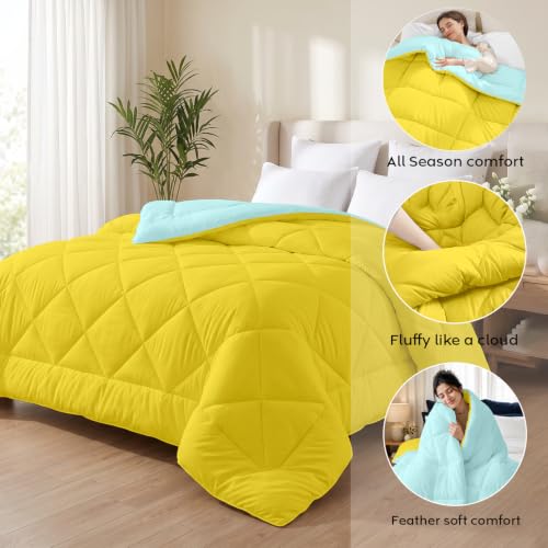 Image of AYKA Reversible Comforter 220 GSM Microfiber Reversible AC Comforter /Blanket for Winter /Quilt /Duvets for King Size Double Bed Comforter (90 * 100, Aqua & Yellow)