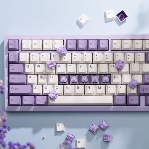 Image of OOCTPK Chilkey POM Purple Linear Keyboard Switches for Mechanical Gaming Keyboard, 20gf Min Force 5-Pin Pre Lubed Creamy Clacky Switches with Double Stage Spring (35pcs)