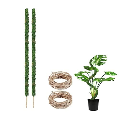 yCharming Clubz|x XeϗtA |gX wS RRXeBbN x AT|[g 鐫A K[fjOx Ԃ t[X^h (100cm*2)