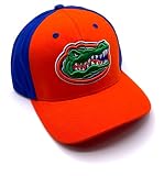 Officially Licensed University Florida Classic Two-Tone Hat Adjustable Gators Team Logo Embroidered Cap