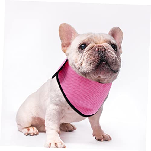 Collier rafraîchissant pour chien contre les coups de chaleur - 3