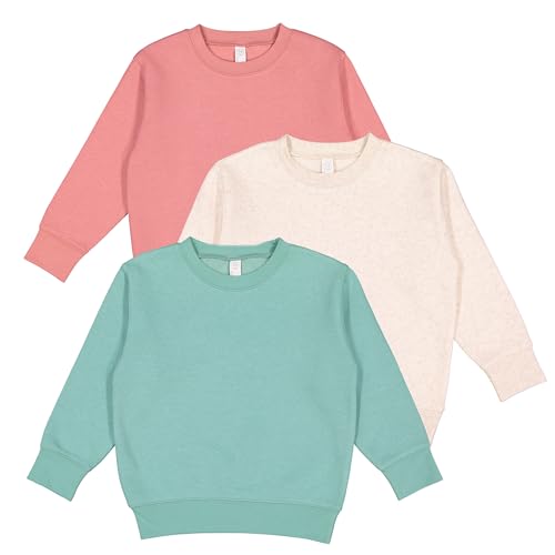 RABBIT SKINS Toddler Boy & Girl Fleece Long Sleeve Pullover Sweatshirt| 2T to Size 7, 3 Pack Bulk Set - Main Image