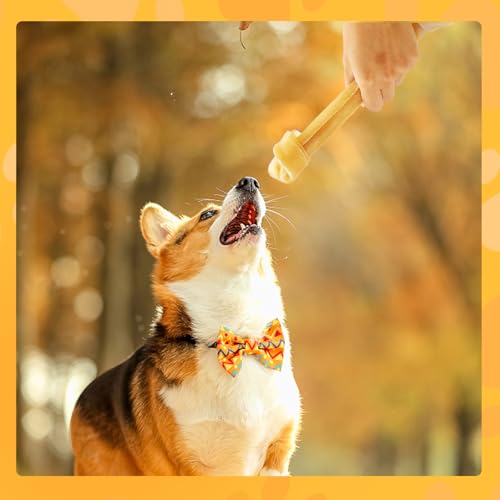 Nobleza 100% Natur Kauknochen Hundeknochen Speziell, aus Gepresster Rinderhaut, Geknotete Kauknochen für Mittelgroße und Große Hunde, 1 Stück 30 cm / 180g, Qualitätskauartikel ohne Chemie