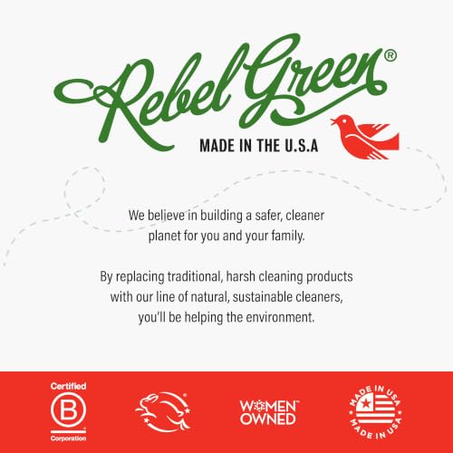 Image of Rebel Green Super Deluxe Dish Soap - Plant-Based Sustainable Dishwashing Soap - Frankincense & Pine Scent - 16 fl oz - 1 Pack