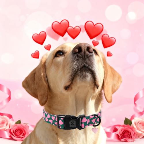 Collar para perro con patrón de corazones verde talla M miniatura 4
