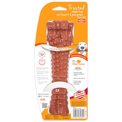 Nylabone Bacon Bone Dog Chew Souper