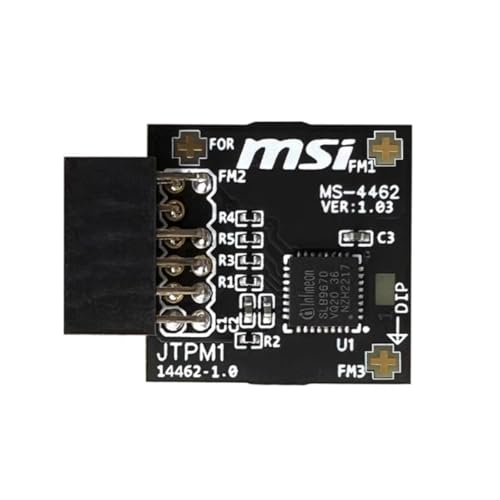 Yeiwenl TPM 2.0 Module TPM SPI 12-1 Pin Module for MSI Motherboard Compatible with TPM2.0(MS-4462)