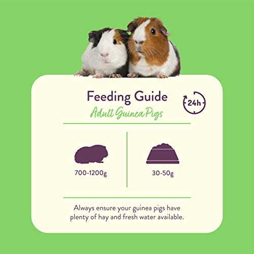 Burgess Excel Guinea Pig Nuggets with Mint 2kg