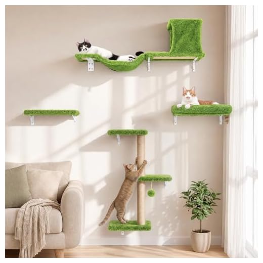 Stable Cat Wall Shelves for Climbers