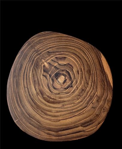Dessous de verre bois de teck artisanal table design