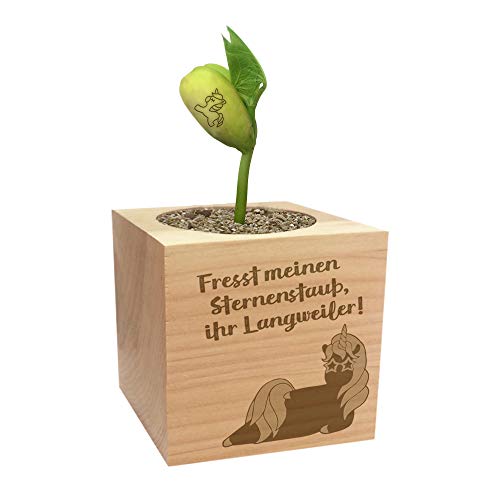 Grow Your Own Einhornbohne, Holzwürfel Mit Lasergravur «Fresst Meinen Sternenstaub, Ihr Langweiler», Nachhaltige Geschenkidee, Anzuchtset, Ecocube, Made in Austria