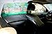 CAR Side Window Sun Shade (2 Pack) | Protects Your Babies and Kids from The Sun/UV Rays by up to 98% | Fits Most Models,NOT for Big SUV | Baby ON Board CAR Sign Included(Jungle)