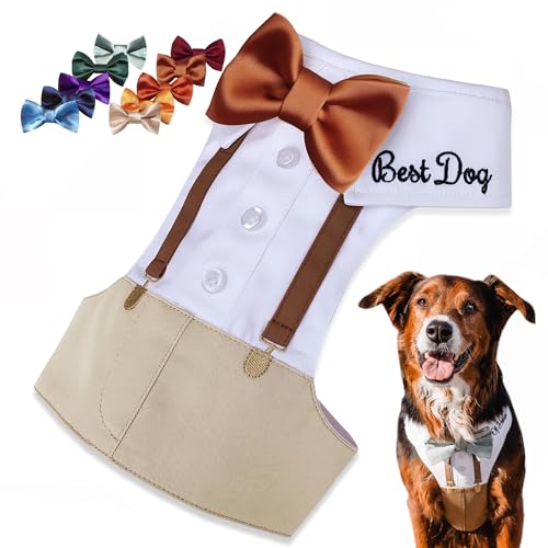 Personalized Best Dog Harness with Bow Tie, Suspenders & Custom Embroidered Text | Wedding Dog Tuxedo | Optional Ring Bearer Clasp | Perfect Attire for Wedding & Birthday by ACORD EU (Light Beige)