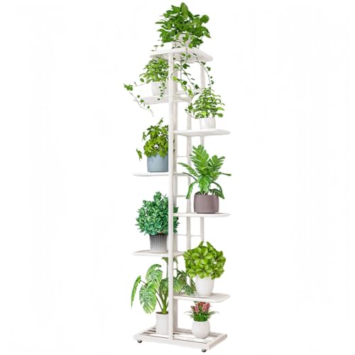 KUBERAS �ԉ� �K�[�f�j���O���b�N �A�ؔ��X�^���h ���[ ���� �k���� ������� ����/���O���p �ƒ�p �x�����_ �������b�N �A�C�A�������r���O�p�V���v�����i�ԑ� 4�i/5�i/6�i/7�i/8�i (8 �i 9 ��,�z���C�g)