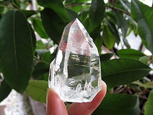 Amazon.co.jp: コロンビア産 レムリアンシードクリスタル 水晶 原石