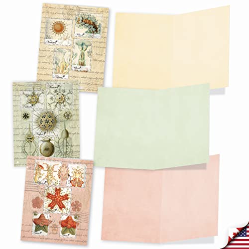 The Best Card Company - 10 Boxed Note Cards Blank (4 X 5.12 Inch) - Bulk Assorted Cards, Vintage Pictures - Vintage Nature M2353Ocb #TOP3