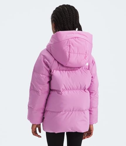 Image of THE NORTH FACE unisex-baby North Down Fleece-lined Parka