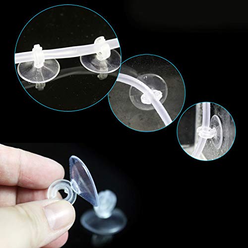 View 4