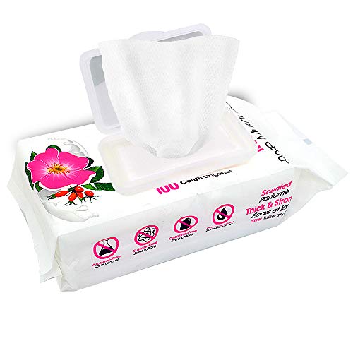Image of Best Pet Supplies Dog Wipes, Hypoallergenic, Deodorizing, Cleaning for Dogs' Paws, Butt, Face, Grooming, Non-Sticky Formula for Puppy, Cats and Sensitive Skin - 400 Pack, Rejuvenating Rose Hip