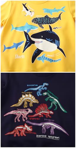 2 Pack 2t-7t Toddler Boys Sweatshirts,Long Sleeve Boys Fashion Tops,Cartoon Toddler Fall Outfits,Toddler Sweater3