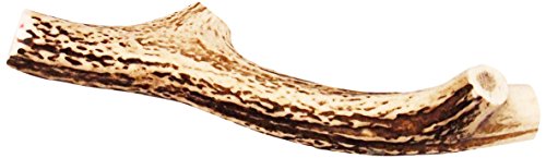 蝦夷鹿の角(ドッグフード)輪切り中・大型犬向きおやつ15cm