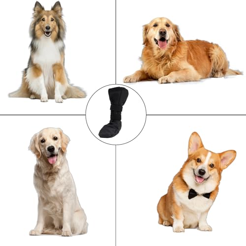 Hundeschuhe Pfotenschutz Outdoor,Hundesocken Anti Rutsch Leckschutz Hunde Socken Dog Shoes Socks Paws Stop Licking,Schuhe Hundepfoten Innen und Draußen Haustierschuhe,für Pet Verletzung Recovery(M)