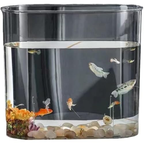  ԕr^N vX`bN eE  AN ϗtA CeA e e[u ANAE {E | e  _J  CeA ԕr  ArcticDeerzbLNVJ (ȉ~`)