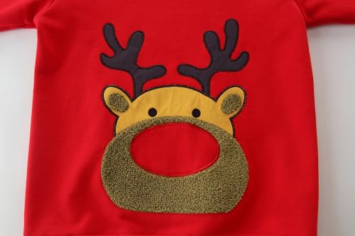 Image of AIWUHE Toddler Cotton Sweatshirt Boys Girls Pullover Long Sleeve Tops 2-6Y