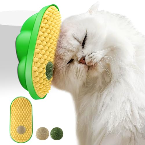 Havenfly Herbe à Chat Jouets Boules Murales d'herbe à Chat, Boule Jouet Chat Interieur, Jouets Catnip Comestibles pour Lécher et Masser Les Chats