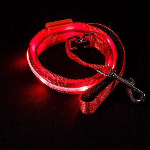 BLAZIN Light Up Dog Leash LED Dog Leash - 1,000 Feet of Visibility - USB Rechargeable Waterproof Glow in The Dark - 4 Foot, Red
