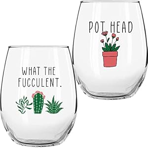 Succulent Plant Cactus Gifts for Women- Set of 2 Funny Wine Glasses 15oz – Plant Lover Gift Mug – What the Fucculent…