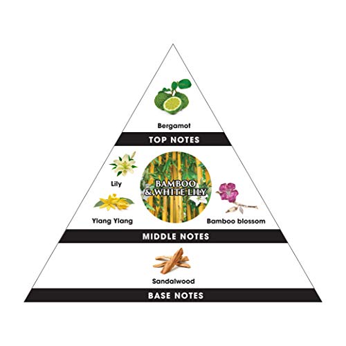 Cocosoy Organic Candles Hand Poured Natural Flower Extracted Fragrance Oils "Bamboo & Lily" Botanical Candles For Aromatherapy Home Scent 18 Oz/3 Wicks Jar 1-Pack Beautiful Xmas Gift Box #TOP3