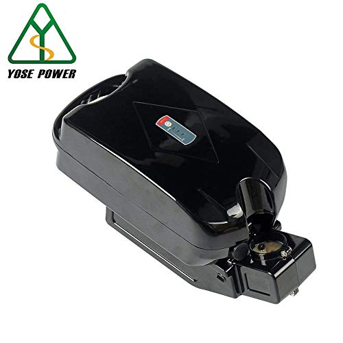 phylion battery price