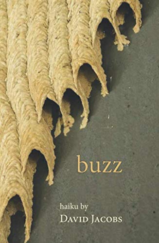 buzz: haiku by David Jacobs