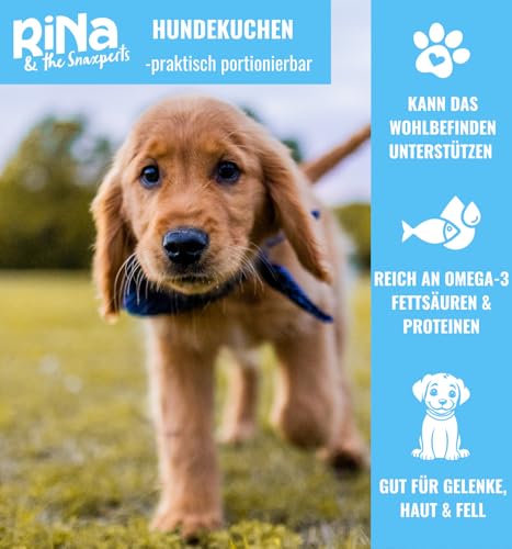 Superfood Hundekuchen Riegelbox 10× Super Sardine – Brokkoli, Spirulina, Kokosöl & Bierhefe – Proteinreich, glutenfrei & ofengebacken – Für Fell, Haut & Immunsystem – RiNa leckerer Hundekuchen