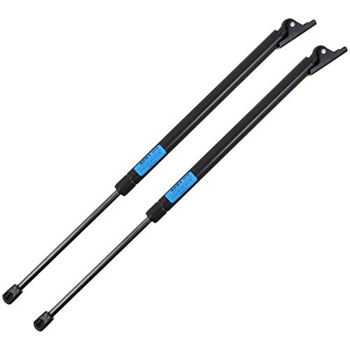 StrongArm 4291PR Jeep Cherokee Liftgate Lift Support 1997-01, Pair Pack of 2