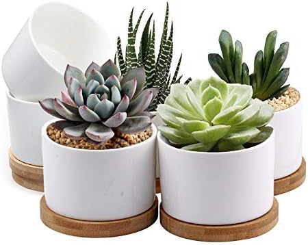 ZOUTOG Succulent Pots, White Mini 3.15 inch Ceramic Flower Planter Pot with Bamboo Tray, Pack of 6 - Plants Not Included