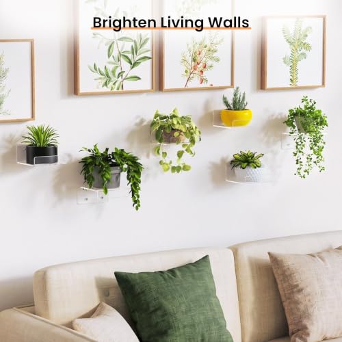 Image of upsimples 4 inch Acrylic Shelves, Small Shelf for Wall Decor and Display, 4 Pcs | Small Floating Shelf for Plants, Speaker, Toys, Invisible Wall Display for Bathroom, Bedroom, Living Room, Room Decor