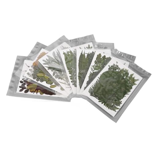 Kit de Flores Secas Prensadas DIY, 245 Peças, Elegância , Multifuncional, para Joias, Convites e Mui