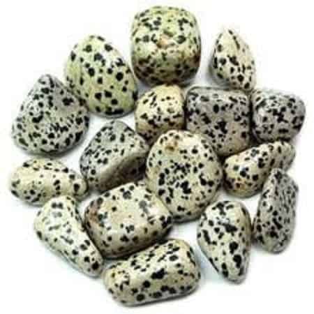 Pachamama EssentialsDalmation Jasper Tumbled - Healing Stone - Crystal Healing 20-25mm