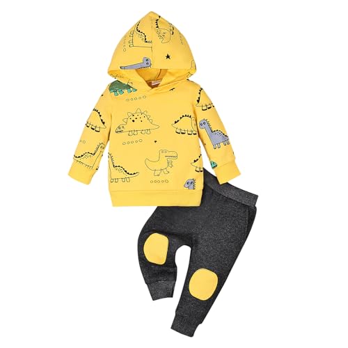 Image of FOCICI Toddler Baby Boy Clothes Infant Spring Winter Outfits Pocket Hoodie Sweatshirt Dinosaur Pants