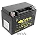 Caltric Agm Battery for Honda Trx250Ex Trx-250Ex Sportrax 250 2001-2008