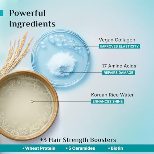 Image of Pilgrim Korean Rice Water & Collagen Advanced Damage Repair Conditioner - 200ml (Pack of 3)| With 17 Amino Acids, Wheat Protein & Ceramides | Paraben-Free | Deep Nourishment & Shine I For Women & Men