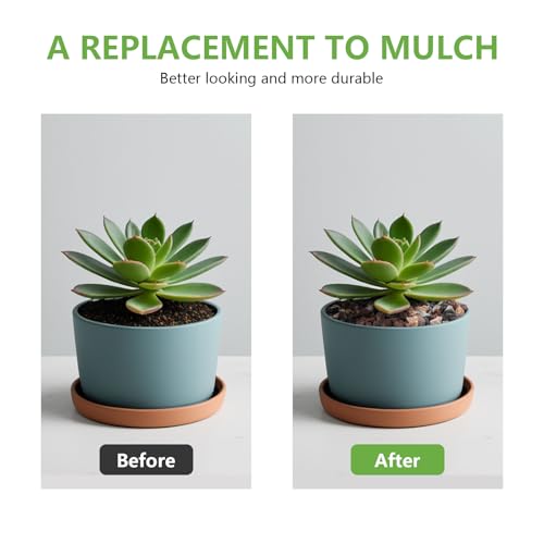 Image of 5lbs Mix Horticultural Lava Rocks for Plants, 1 /5 Inch Potting Soil Amendment for Succulents, Cacti, Bonsai, Decorative Gravel Plant Drainage Volcanic for Terrarium, Top Dressing